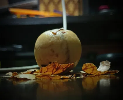 Avocado Seed🥑  thumbnail