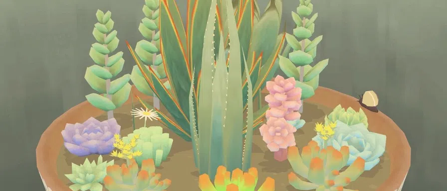 Vridi plants